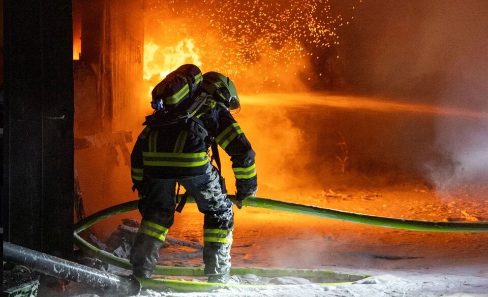 Brand Gänse Hund Erla NÖ