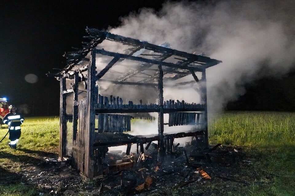 Millionen Bienen bei Brand verendet