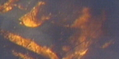 Buschbrände zerstören 40 Häuser