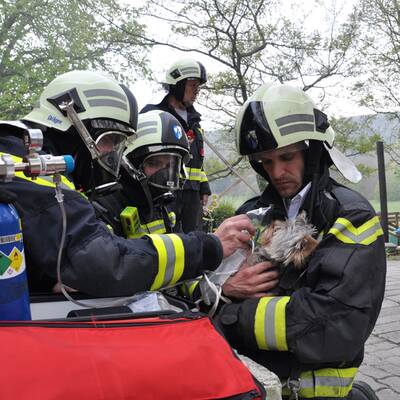 Restaurant in Mödling in Vollbrand