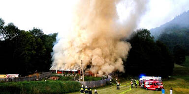 Verheerendes Feuer im Reptilienzoo Amstetten