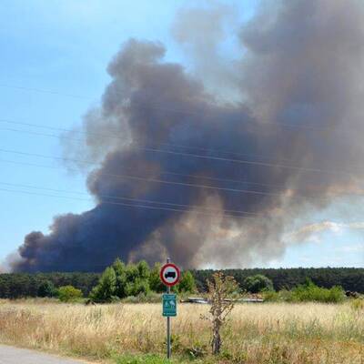 Brand im Föhrenwald im Bezirk Neunkirchen