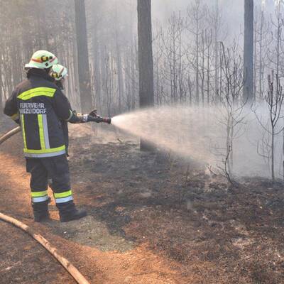 Brand im Föhrenwald im Bezirk Neunkirchen