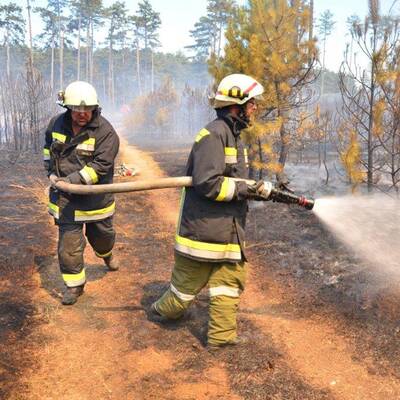Brand im Föhrenwald im Bezirk Neunkirchen
