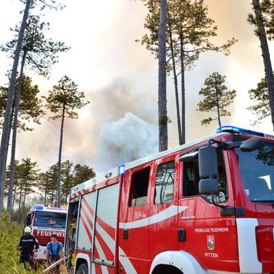 Brand im Föhrenwald im Bezirk Neunkirchen