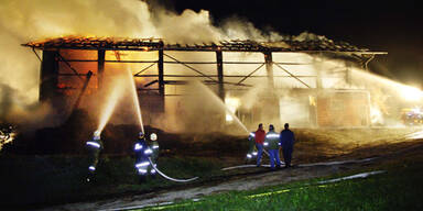 Feuerwehrmann-Sohn gesteht Brandstiftung