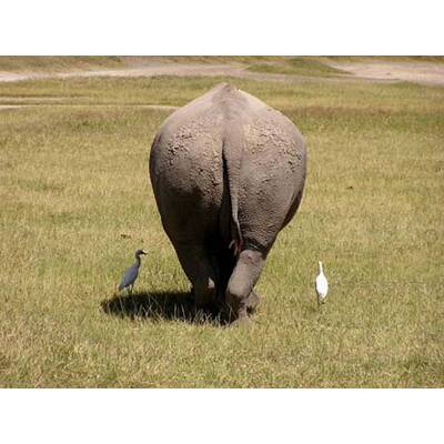 Das lustigste Sommerfoto