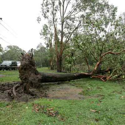 Sturm verwüstet Brisbane