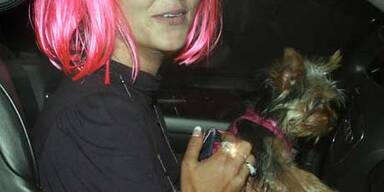 Britney hat schon wieder ein Auto gerammt!