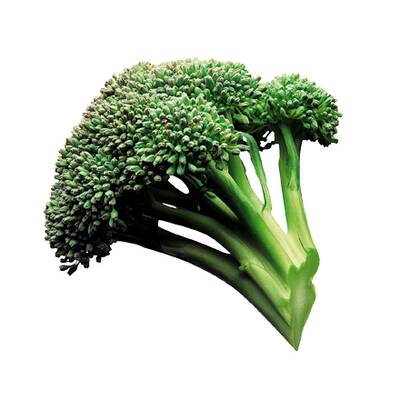 Lebensmittel mit Bitterstoffen