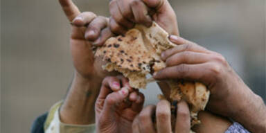 brot_ap