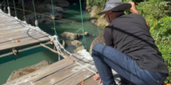 Guide filmte Todessturz der Österreicher - mit deren Handy