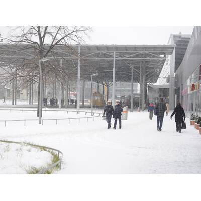 Europa versinkt im Schneechaos