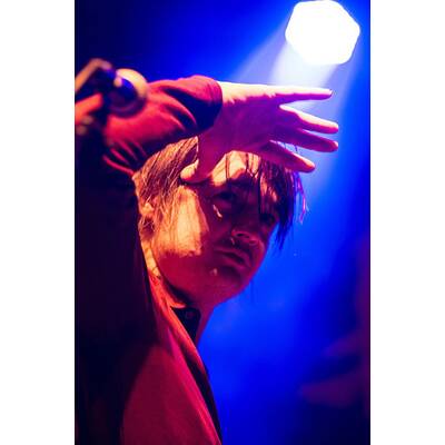 Pete Doherty rockte Wiener Gasomter 