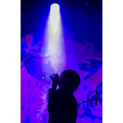 Pete Doherty rockte Wiener Gasomter 