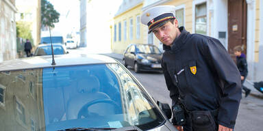 Parkpickerl neu kommt nicht