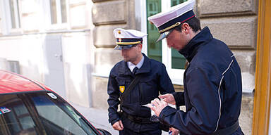 Parksheriff von Lenker verpr&uuml;gelt