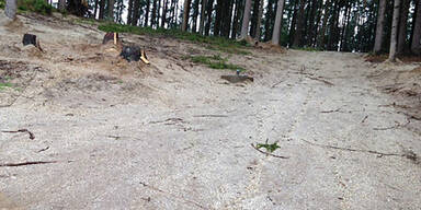 Unfall-Drama: Familie erstickt in Brunnen