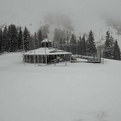 Blick über den Irrsee (OÖ) 