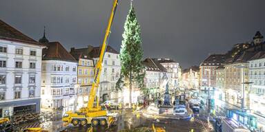 Christbaum graz