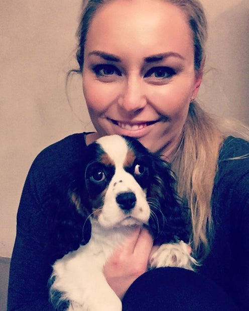 Lindsey Vonn und ihr neuer Hund