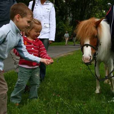 Fabians privates Familienalbum