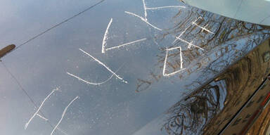 Auto von BZÖ-Chef Bucher beschädigt