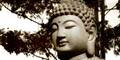 buddha_SXC