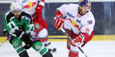 Red Bull SAlzburg EBEL