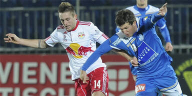 Bullen Wiener Neustadt