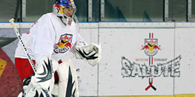 bullen salute symbol