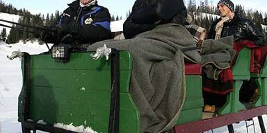 Winterkönige im Schnee