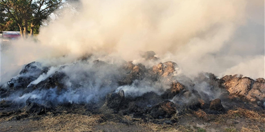Brandserie im Burgenland: 31-Jähriger auf frischer Tat ertappt