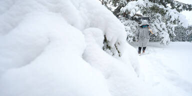 Burgenland: Zahlreiche Stra&szlig;ensperren