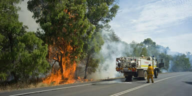 Buschbrand Australien