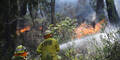 Buschbrände wüten rund um Sydney