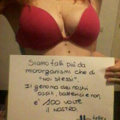 Brüste für die Wissenschaft