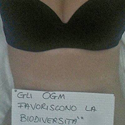 Brüste für die Wissenschaft