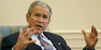 bush