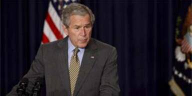 bush