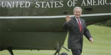bush