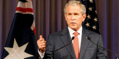 bush