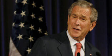 bush