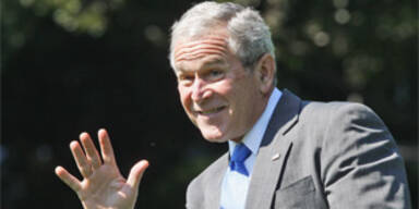 bush_ap