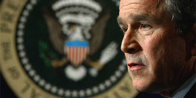 bush_ap