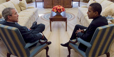 Peruanischer Nackthund wird 