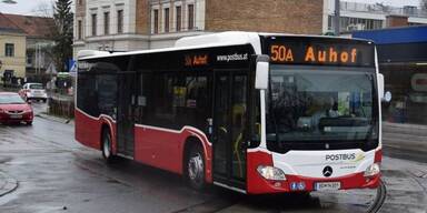 Buslinie 50A