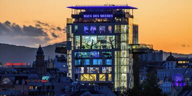 Besucherrekord im Wiener Haus des Meeres