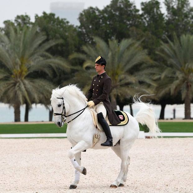 Kurz bei Scheichs in Abu Dhabi