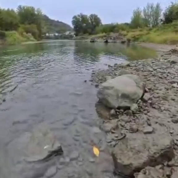 Letzter Anruf vor Tod: Pilnacek telefonierte mit Kurz